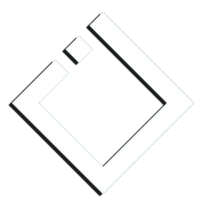 პარტნიორის ლოგო