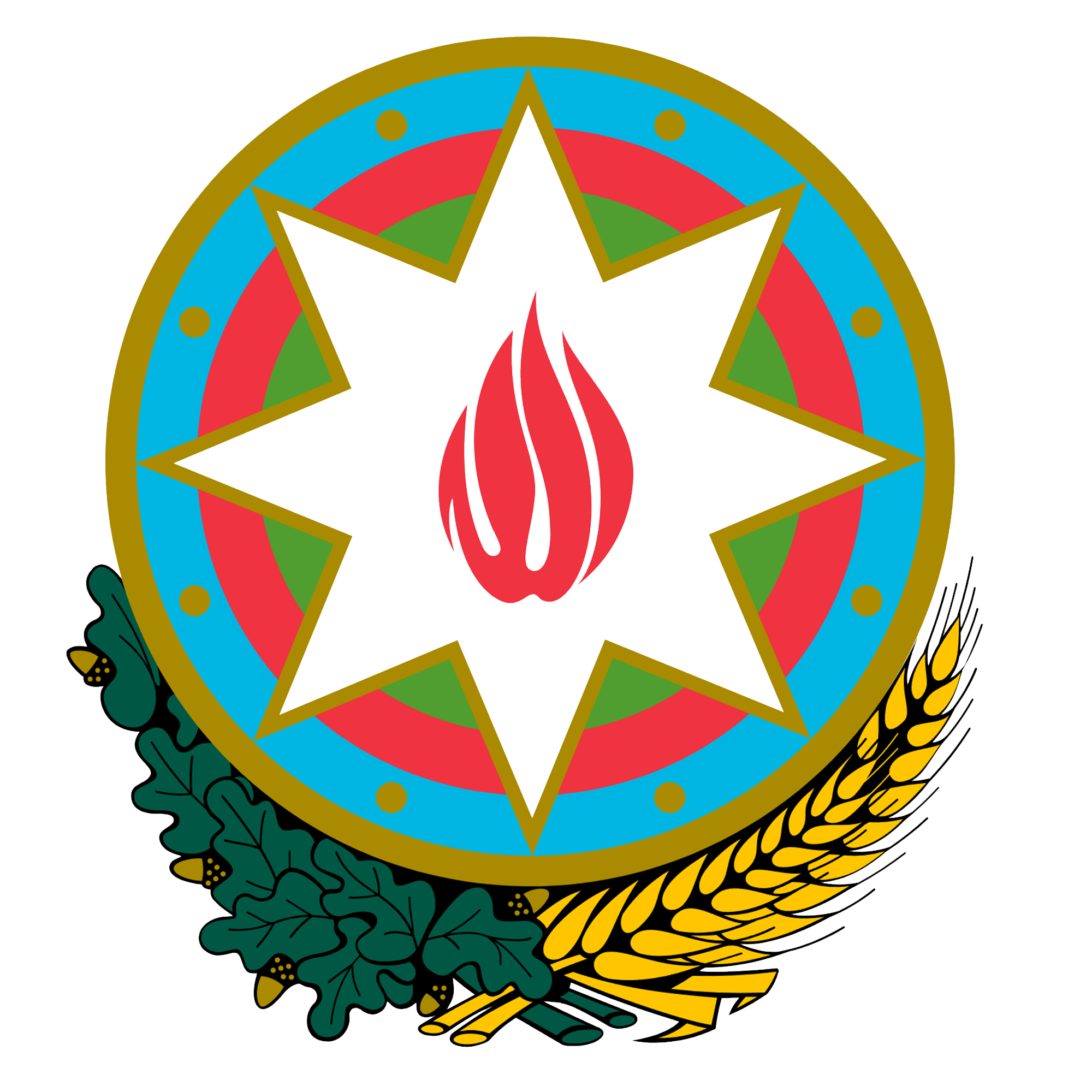 პარტნიორის ლოგო