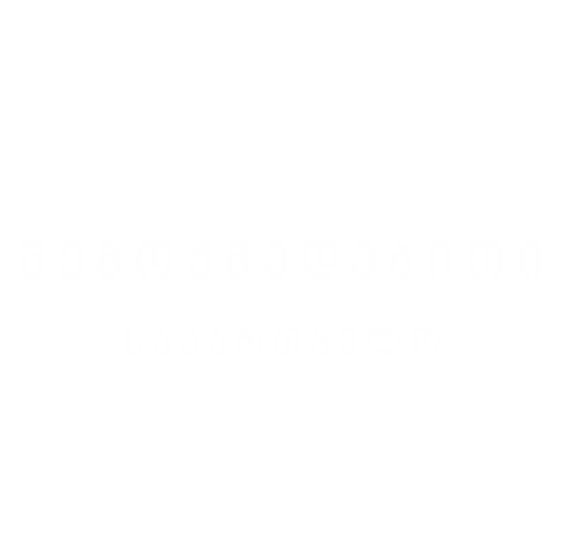 პარტნიორის ლოგო