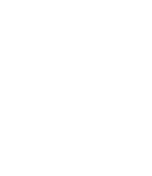 პარტნიორის ლოგო
